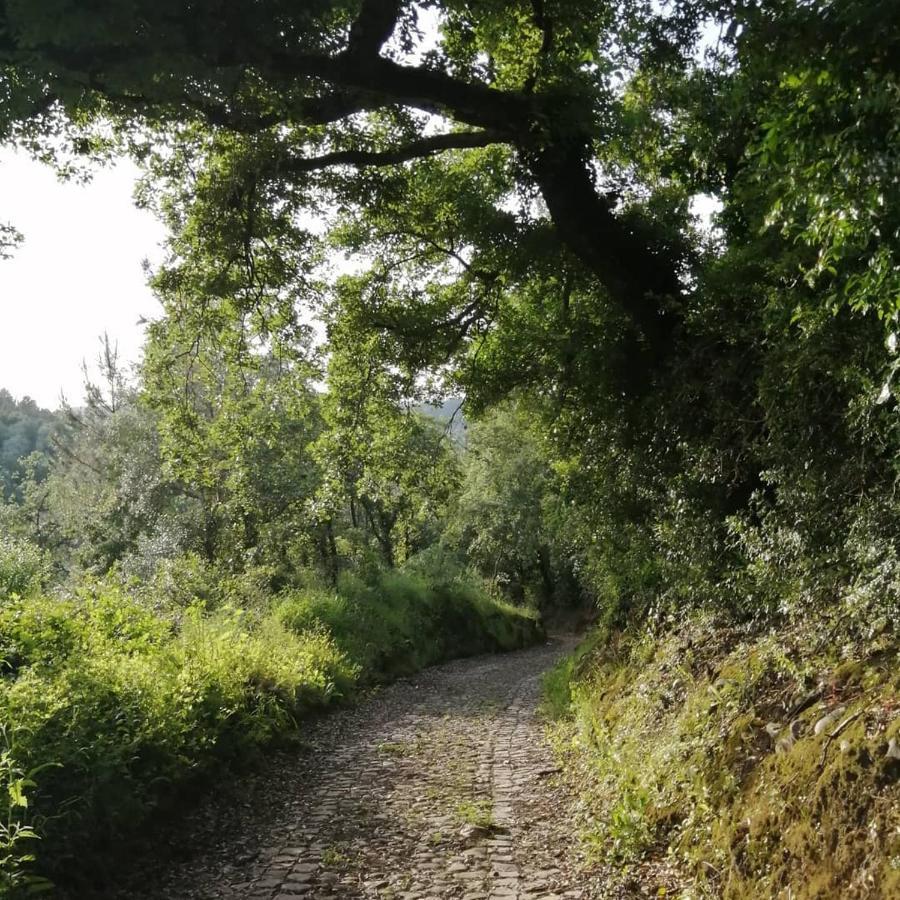 Pateo Das Rizas Eiras 外观 照片